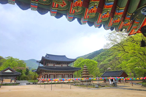 (문화해설사) 나를 위한 작은 행복! 1400년이 주는 좋은 기운 듬뿍! 무량사 템플스테이 · 백제문화단지